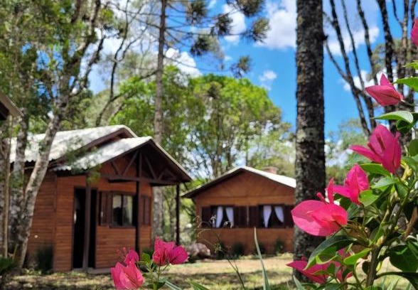 Sao Francisco de Paula Casa | Cabanas dos Pinheiros