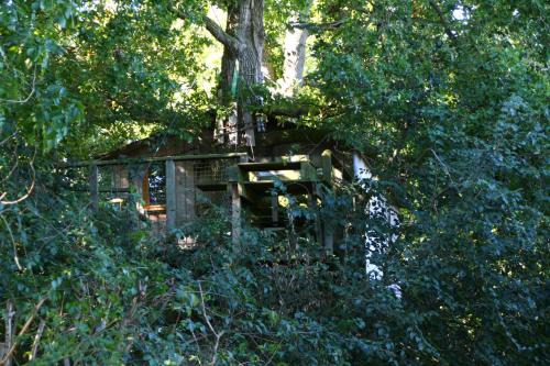 Henanbihen Otro | Cabane dans les arbres