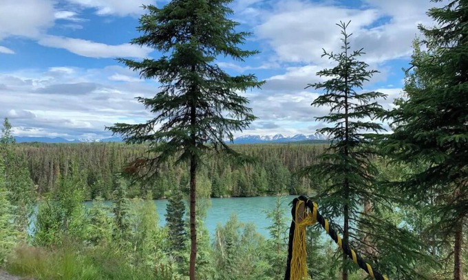 Funny River Cabina | Cabin 1 on the Kenai River!