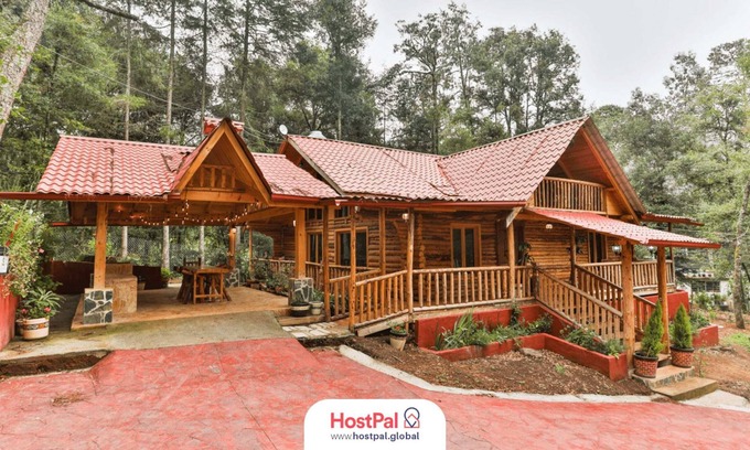 Acaxochitlán Apartamento | Cabin at the Woods l Pet Friendly