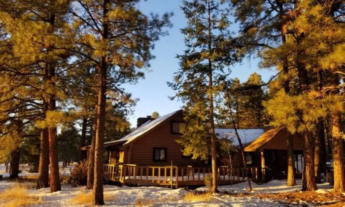 Williams Cabina | Cabin Escape surrounded by ponderosa pine trees and beautiful mountains.