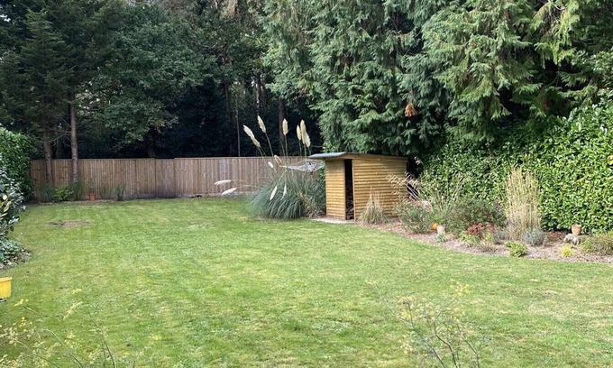 Ferndown Cabina | CABIN IN A GREAT LOCATION