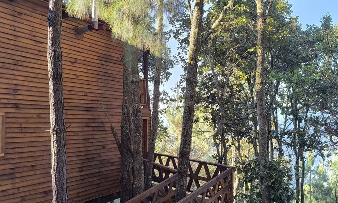 San Jose del Pacifico Cabina | Cabaña en el Bosque de San José del Pacífico 5