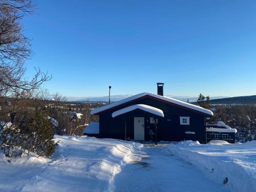 Vestre Slidre Casa | Cabin in the Mountain, Outstanding View & Solar Energy