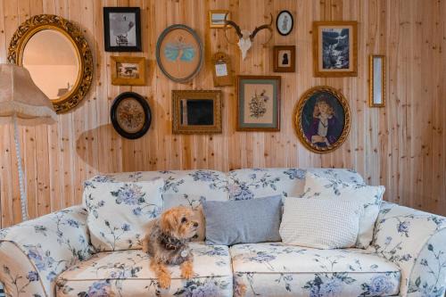 Hunter Apartamento | Cabin on Hunter Mtn Seasonal Pool Access w Panoramic Views Hike Swim Fish Recharge