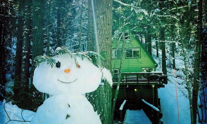 Camp Connell Cabina | Cabin on the Creek: Dog Friendly