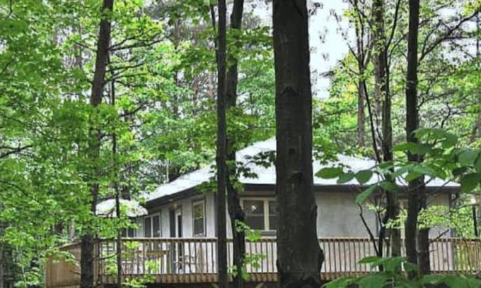 South Bloomingville Cabina | Cabin on wooded ridge, stair-free, 2 bedrm, child & pet friendly,AirBB Superhost