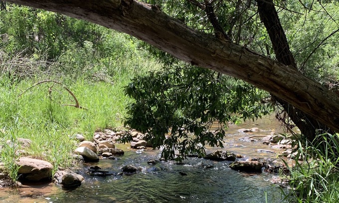 Kohls Ranch Casa | Cabin overlooking Tonto Creek across from Tonto National Forest