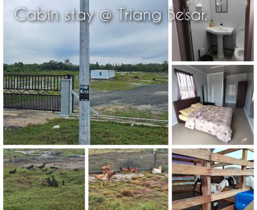 Tekek Chalet De Esquí | Cabin stay Triang Besar