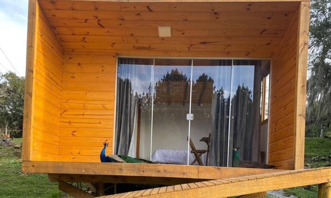 Canela Cabina | Cabin surrounded by nature and waterfalls a few km from Canela