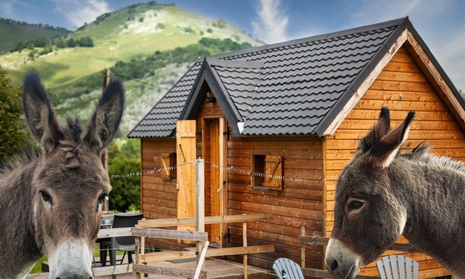 Segus Cabina | Cabaña de madera-Rural-Baño con ducha-Vista a la Montana