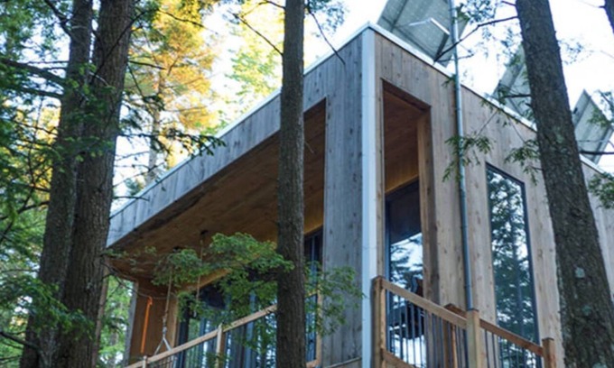 Eastman Cabina | Cabin Zoobox 66 Summa