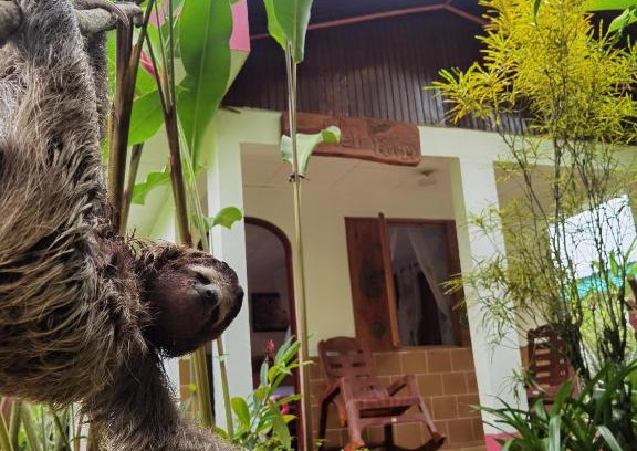 Cahuita Cabina | Cabinas Tito