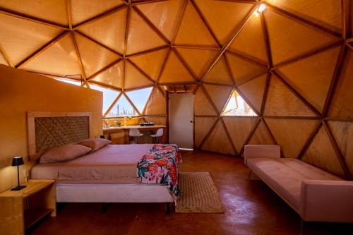 La Paz Otro | Cactus Lodge Baja