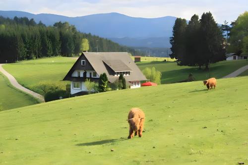 Muehlenbach Casa | Café Pension Pfaus 1 fewo-4 Zimmer