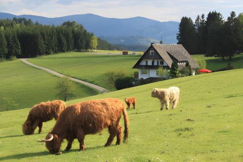 Muehlenbach Casa | Café Pension Pfaus Heidburg