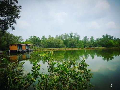 Phangnga Complejo | Calm at Bangphat