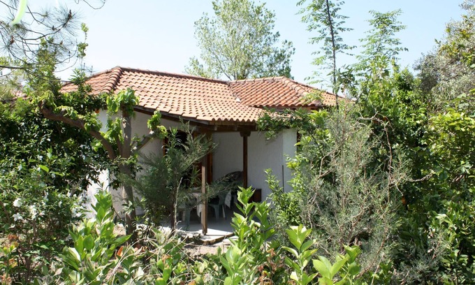 Kakovatos Casa | Tranquilo, en medio de un olivar, cerca de la playa, wifi | Casa de vacaciones Ili