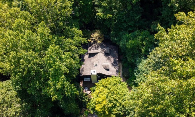 Sylva Casa | Calming Tree House - Pet Friendly Mountain Hideaway
