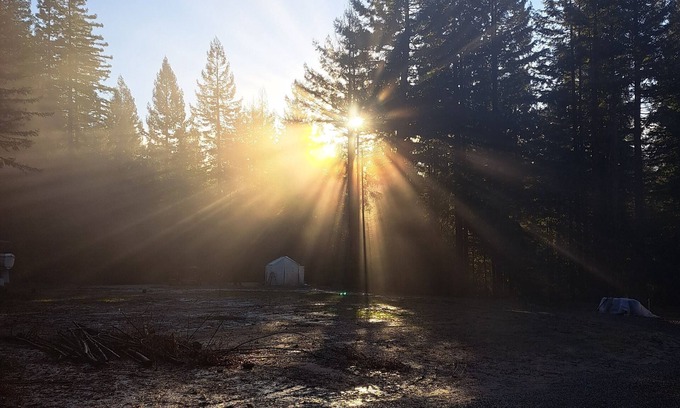 Fortuna Alquiler De RV | Camp in private Redwoods, no fires