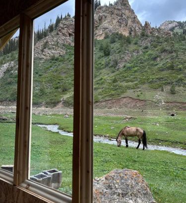 Naryn Region Otro | Camp Moldo pass on the road to Son Kol lake, overnight stay, meals, tea, coffee