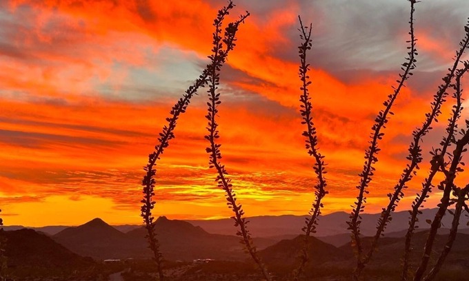 Terlingua Alquiler De RV | Camp on a volcanic hill, 10 mins to Big Bend and 15 mins to Terlingua Ghost Town