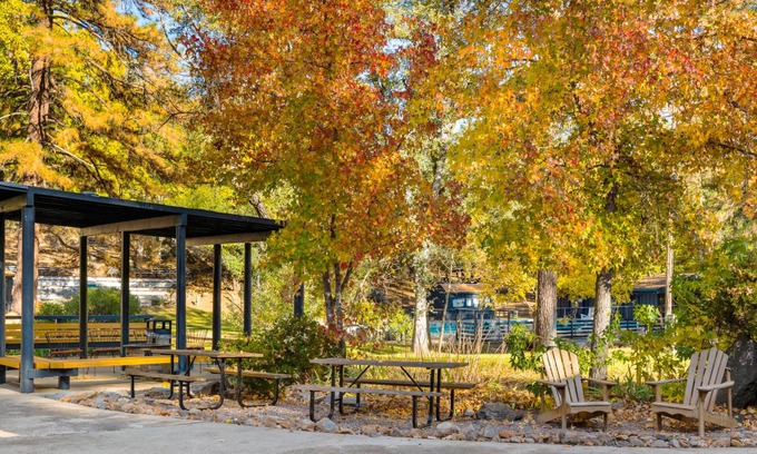 Tuolumne Otro | Camp Silver Spur