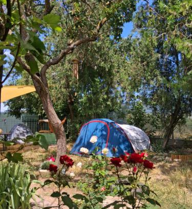 Vama Veche Otro | Camping Curtea Pescărușului