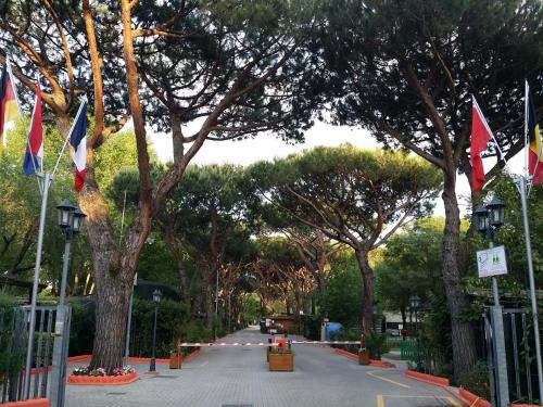 Marina di Massa Otro | Camping Dal Pino