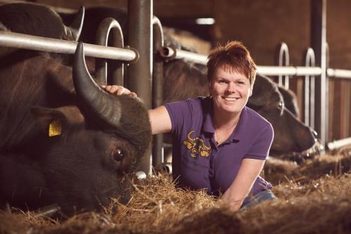 Oldemarkt Otro | Camping De Waterbuffelfarm