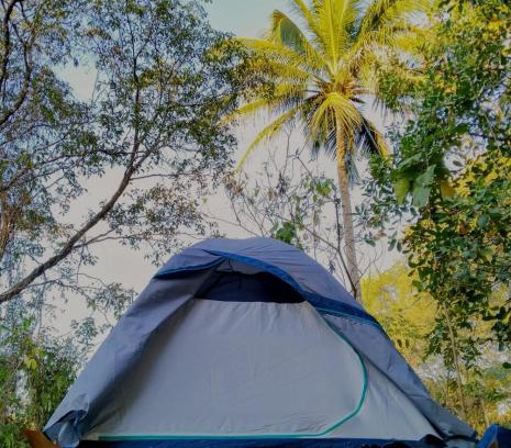 Huautlco Otro | Camping Jardín Botánico Herbolario HUMAR