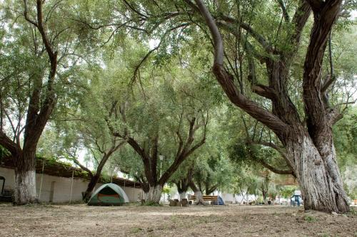 Paros Otro | Camping Koula