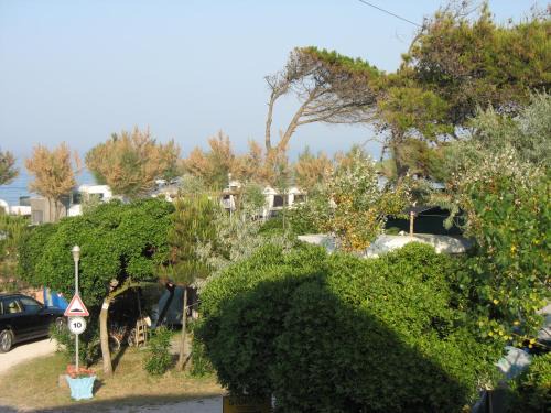 Porto Recanati Otro | Camping La Pineta