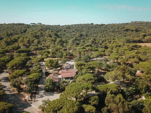 Ramatuelle Otro | Camping Ladouceur