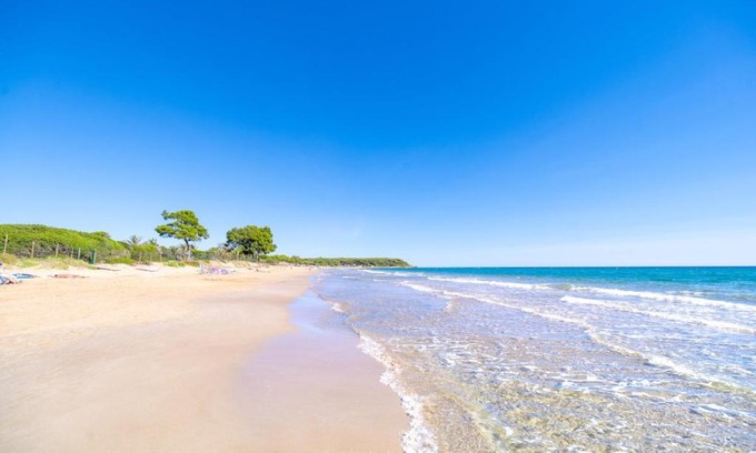 Tarragona Otro | Camping Las Palmeras