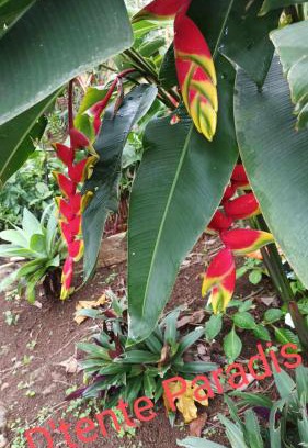 La Riviere Saint-Louis Otro | CAMPING le fruit de la passion