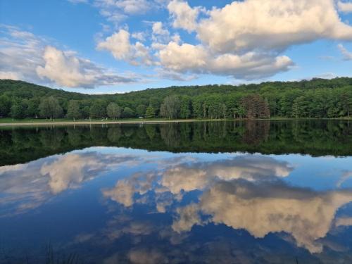 Lamongerie Otro | Camping Montard