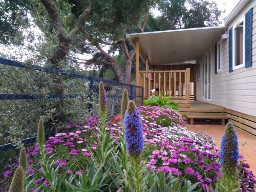 Calella Otro | Camping Roca Grossa
