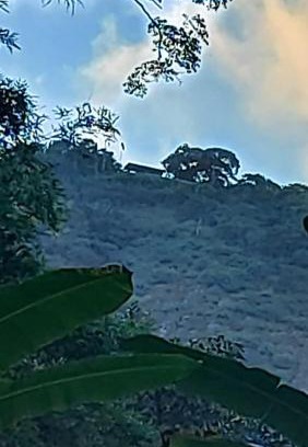 Sao Conrado Otro | Camping São Conrado com cachoeira exclusiva, perto da praia e da Pedra Bonita