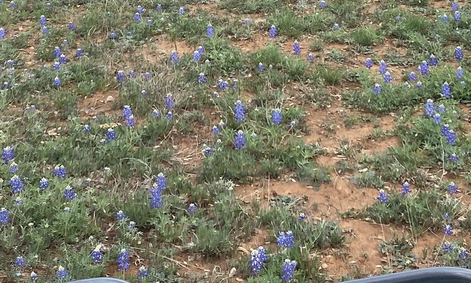 Llano Alquiler De RV | Camping! Solar eclipse! Bring your tent! Llano TX
