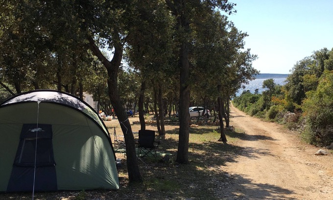 Mandre Alquiler De RV | Acampar azúcar para unas vacaciones perfectas
