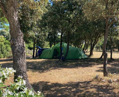 Kolan Otro | Camping Sugar