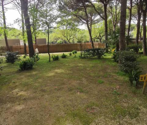 Ca' Savio Otro | Camping Valdor Camper & Pitch