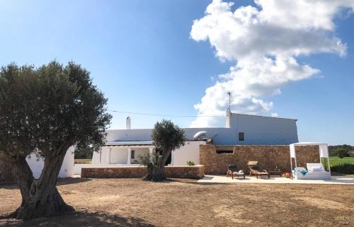 Formentera Casa | Can Marianet