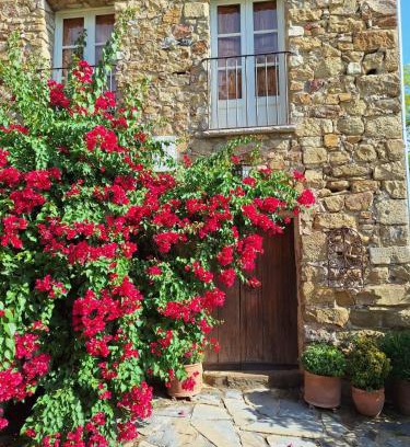 Sales de Llierca Casa | Can Pedragos