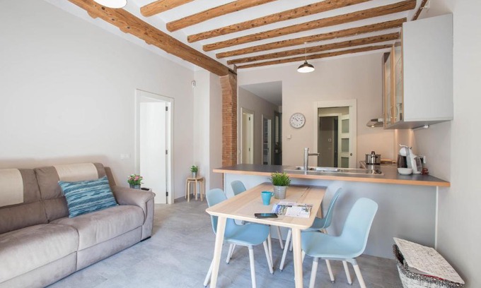 Ripoll Apartamento | Can Salvans