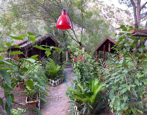 Cirali Cabina | Canario Bungalows