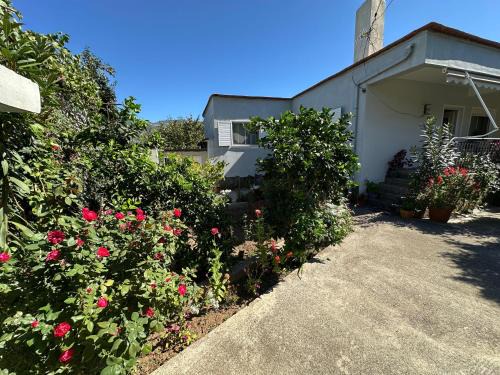 Permet Casa | Canka Guest House