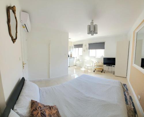 Carnot Apartamento | Cannes Carnot 2