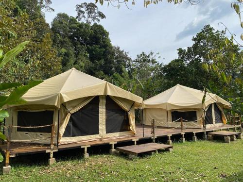 Janda Baik Otro | Canopy Villa Glamping Park